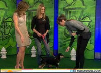 https://www.wellnesspetfood.kr/wp-content/uploads/2014/07/today-show-feb-2011-1.jpg