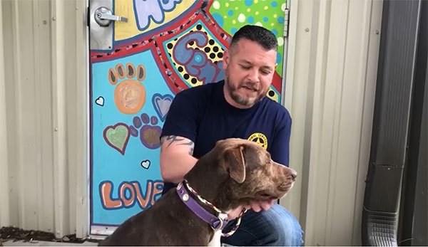 Fort Bend Animal Services