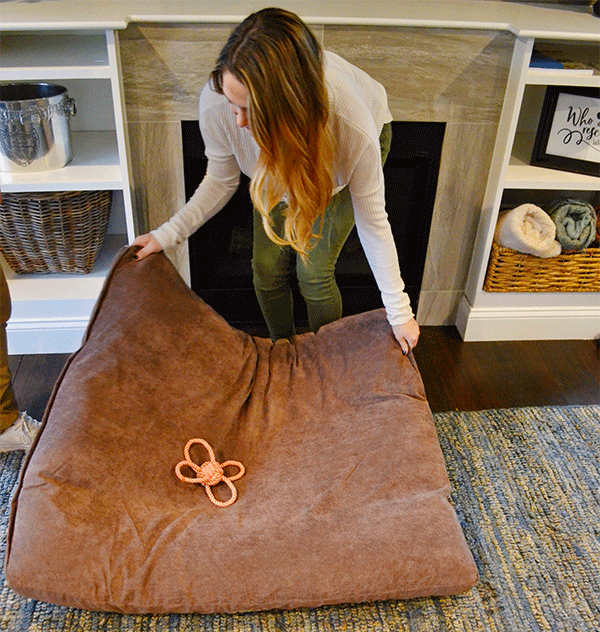 cleaning dog bed
