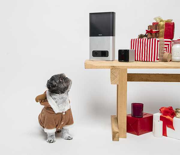 Petcube